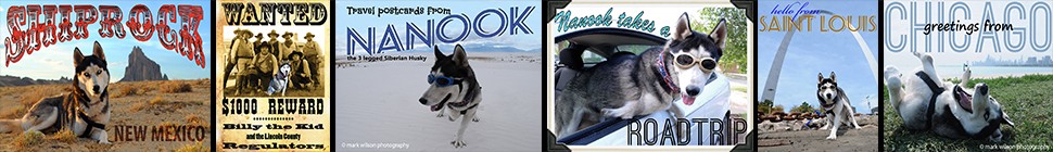Postcards from Nanook